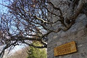 Monte Suchello (1541 m) da Aviatico (1080 m) il 20 febbraio 2019 - FOTOGALLERY